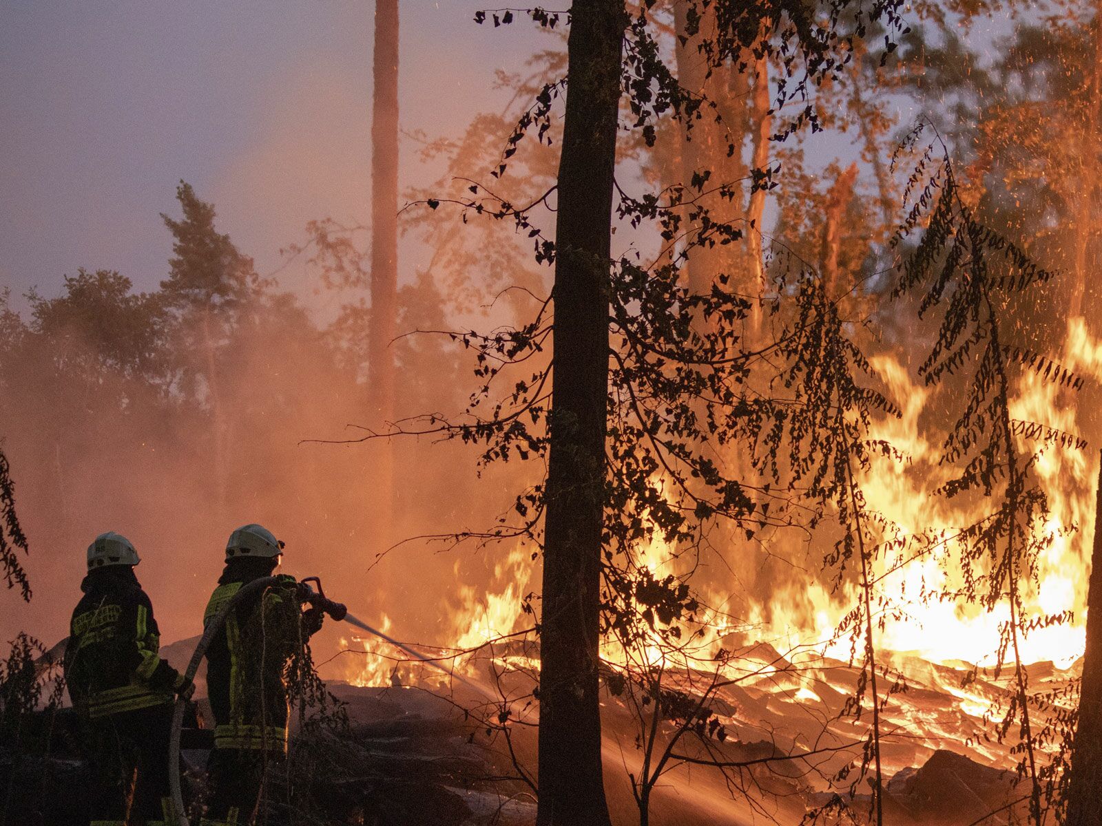 Sonder-Seminare BOS112 Risc-Management GmbH